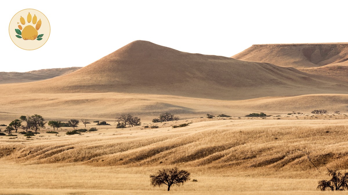 10-Day Kenya Safari Itinerary for First-Timers - photo 1