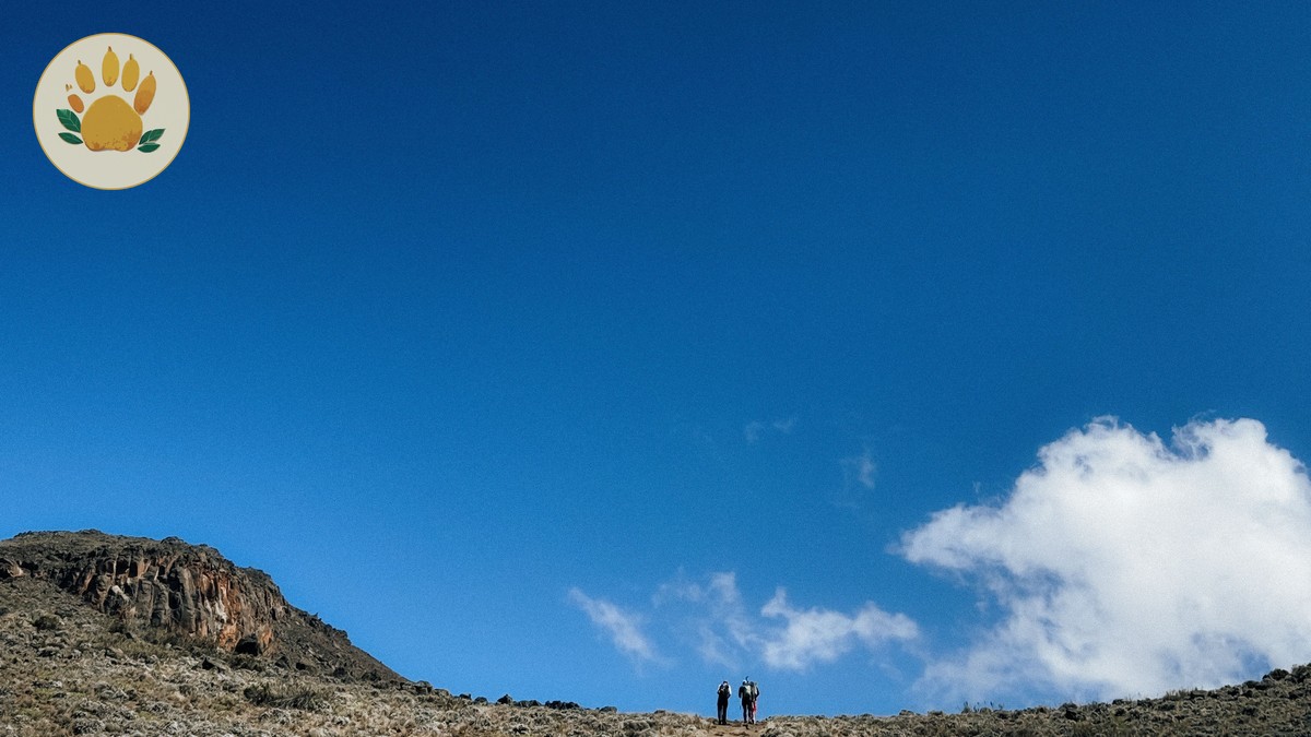 Best Month for Amboseli Kilimanjaro Views (2026 Guide)