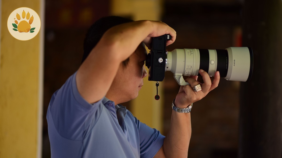 Best Lens Focal Length for Kenya Safari Photography