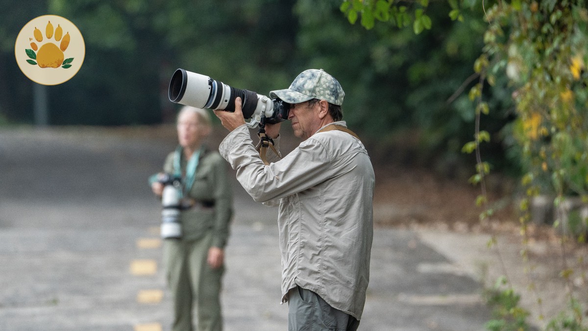 Best Masai Mara Conservancies Guide for Photographers