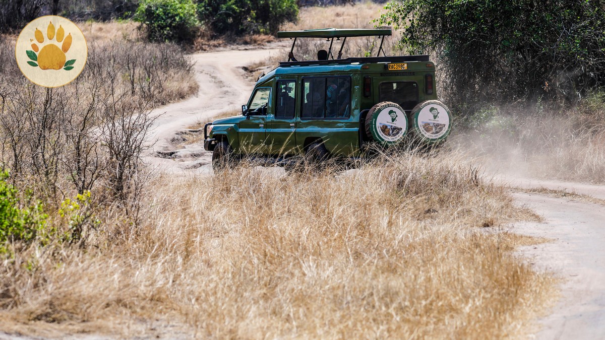 Best Masai Mara Conservancies Guide for Photographers - photo 1