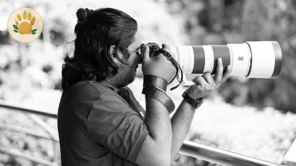 The Best Parks for Bird Photography in Kenya