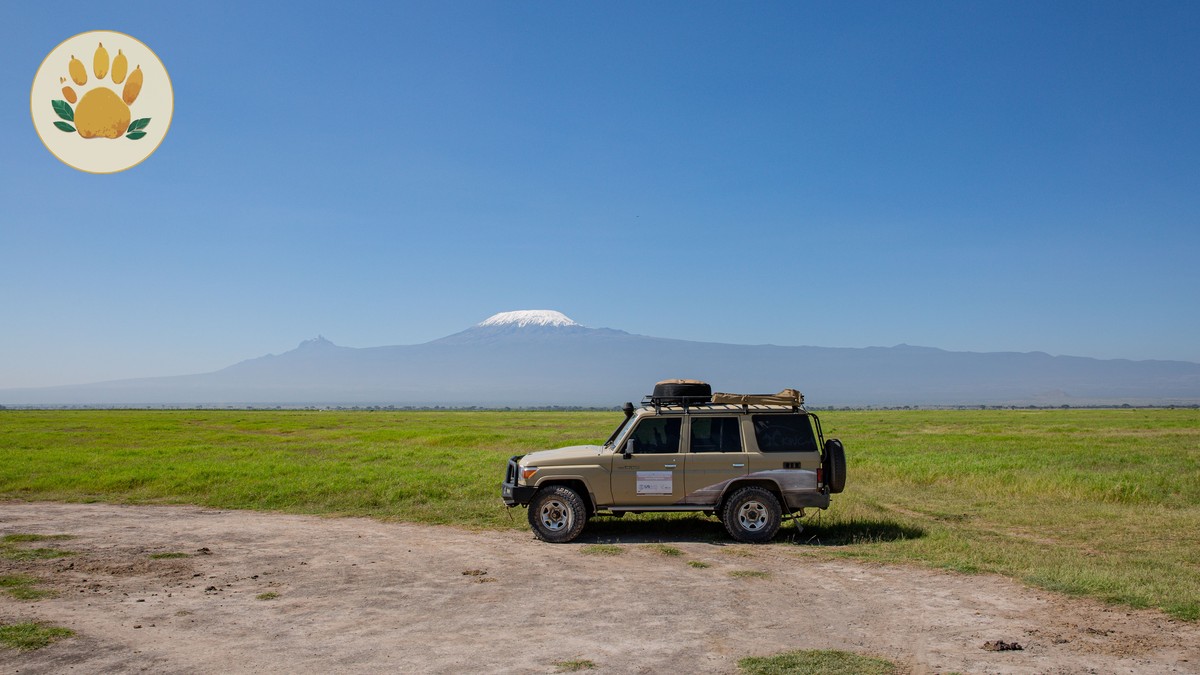 The Best Parks for Bird Photography in Kenya - photo 1