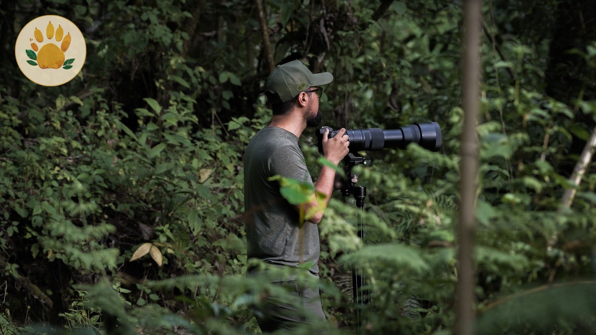 Best Safari Vehicle for Photography: A Kenya Guide