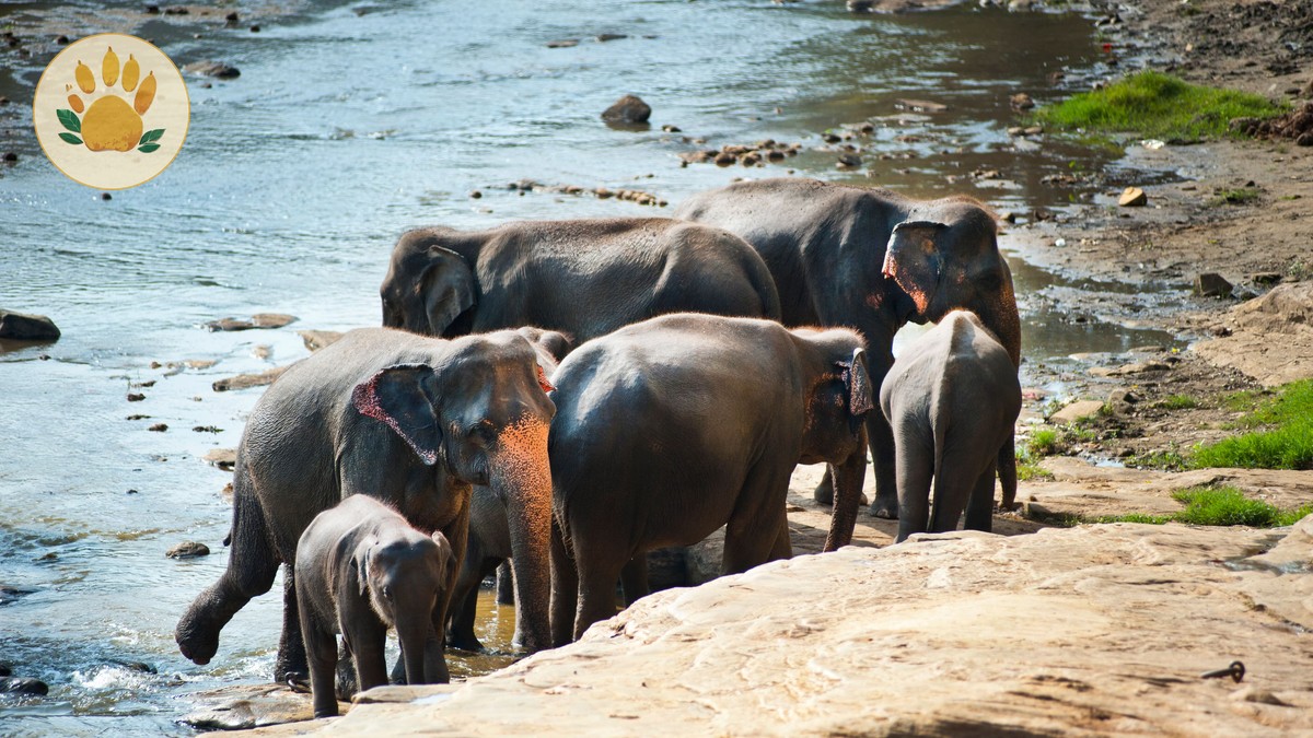 Best Time to Visit Samburu National Reserve: Month by Month - photo 2