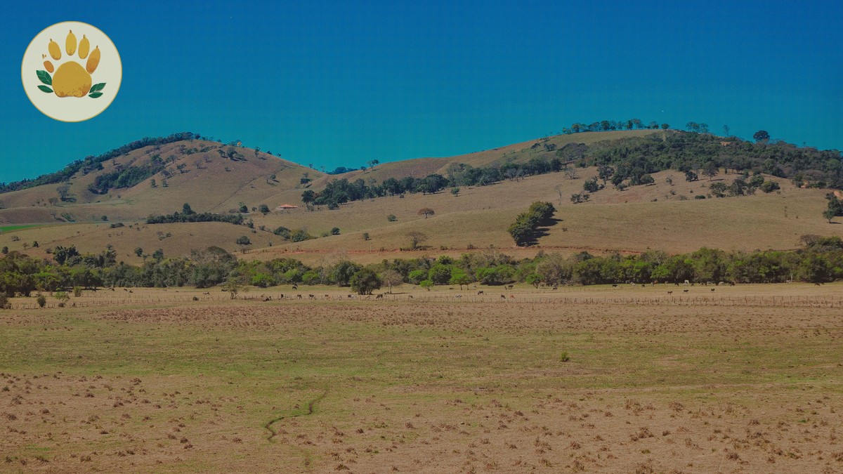 Chyulu Hills Safari Guide: Kenya's Underrated Park - photo 1