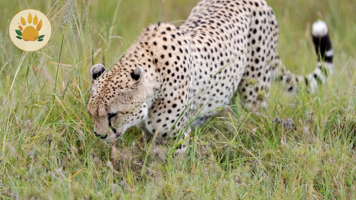 Can You Drink Tap Water on a Kenya Safari? - photo 2