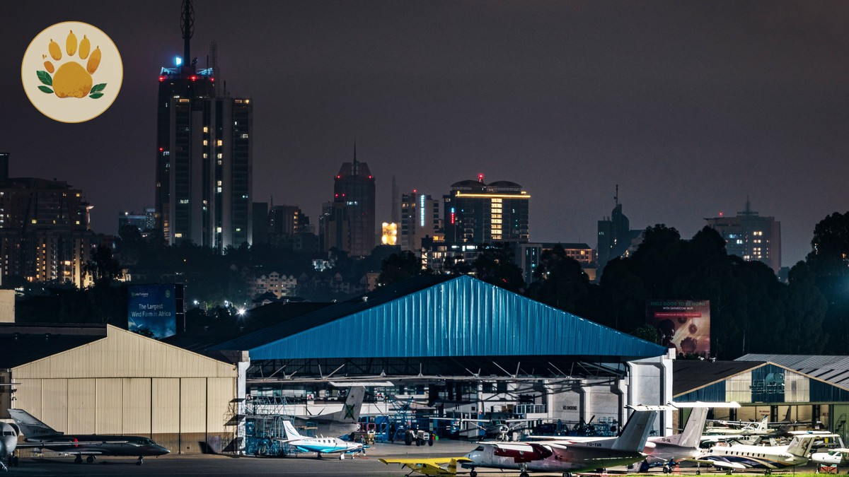East Africa Single Tourist Visa: Kenya, Uganda, Rwanda Guide - photo 1