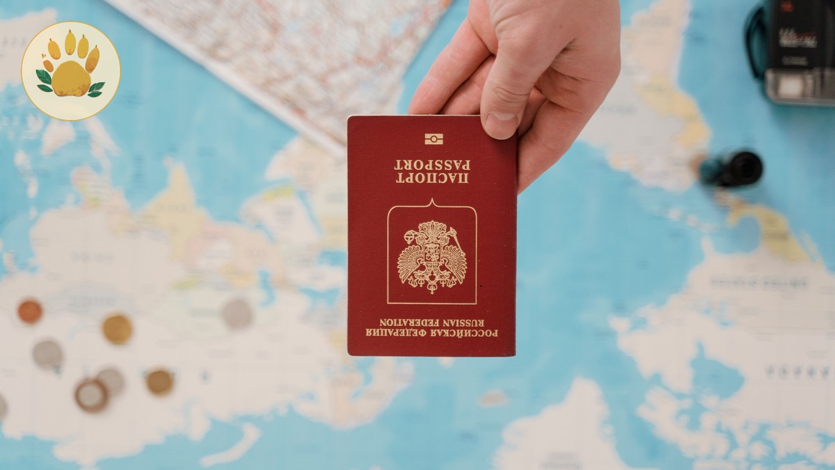 East Africa Single Tourist Visa: Kenya, Uganda, Rwanda Guide - photo 2