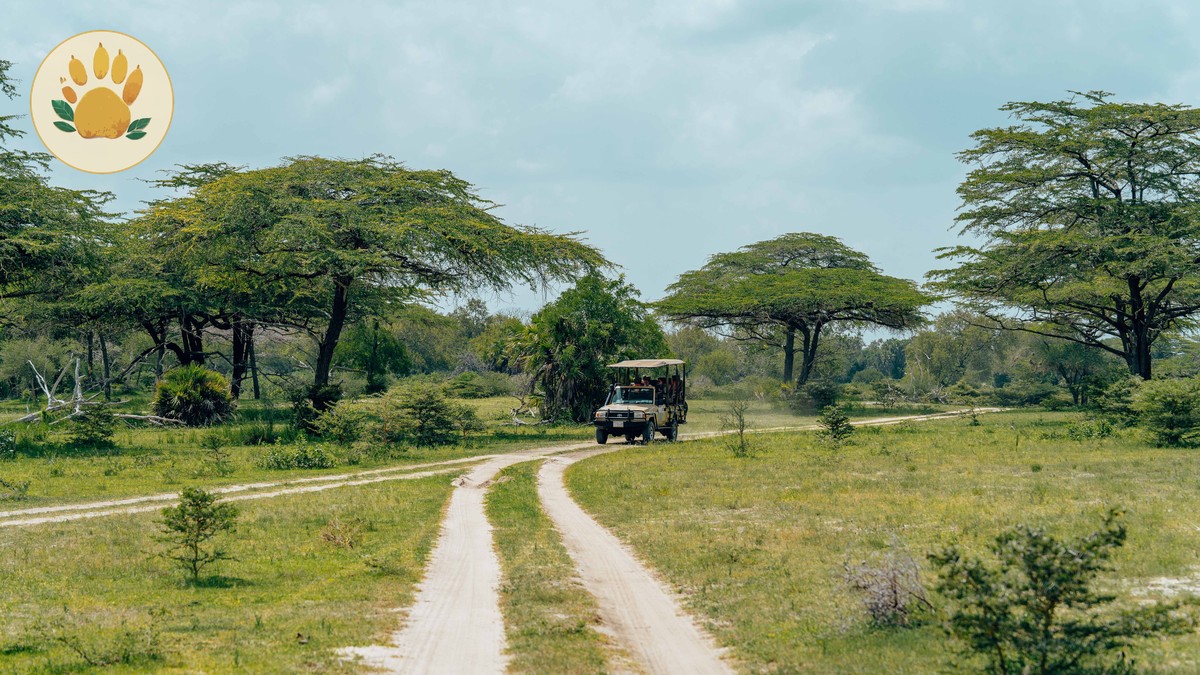 Evening Dress Code for a Safari Dinner in Kenya - photo 2
