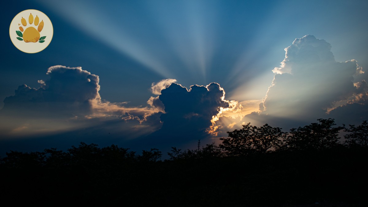 Green Season Safari Photography in Kenya: A Guide - photo 2
