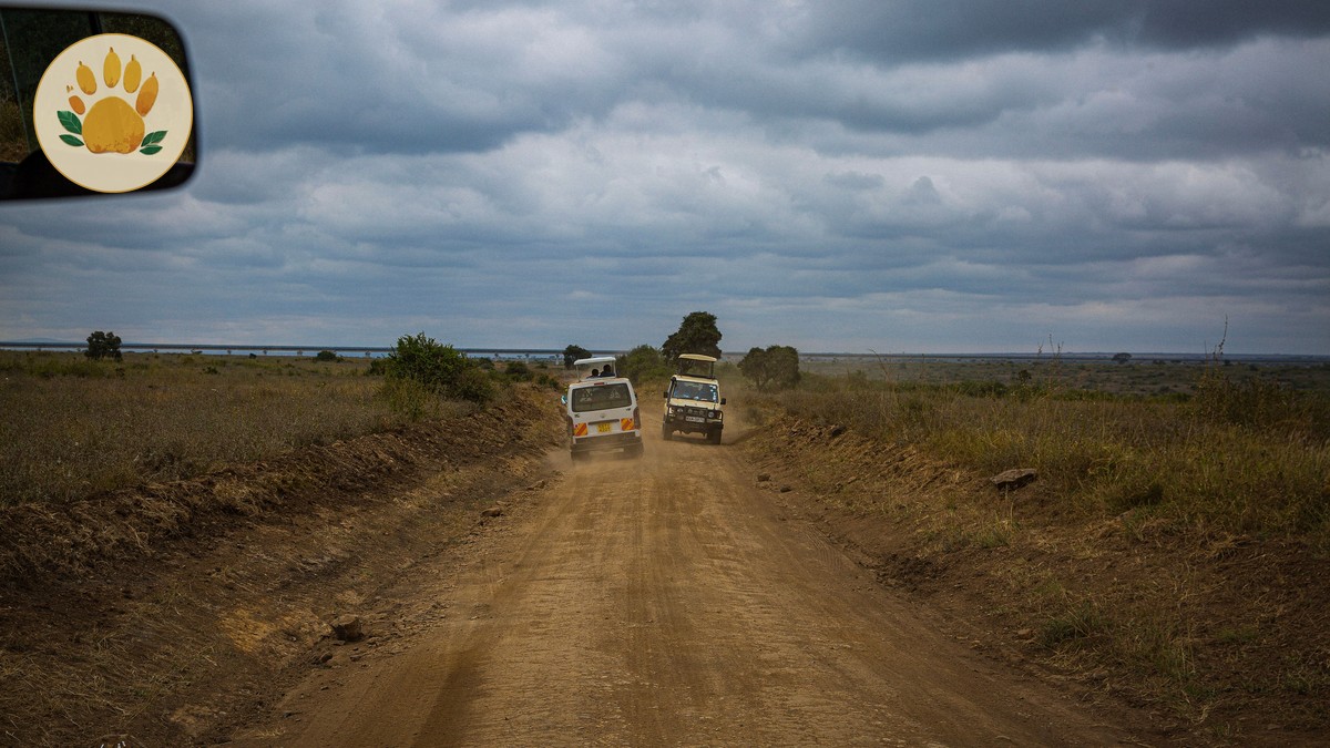Group-Joining Safaris in Kenya: How They Work - photo 2