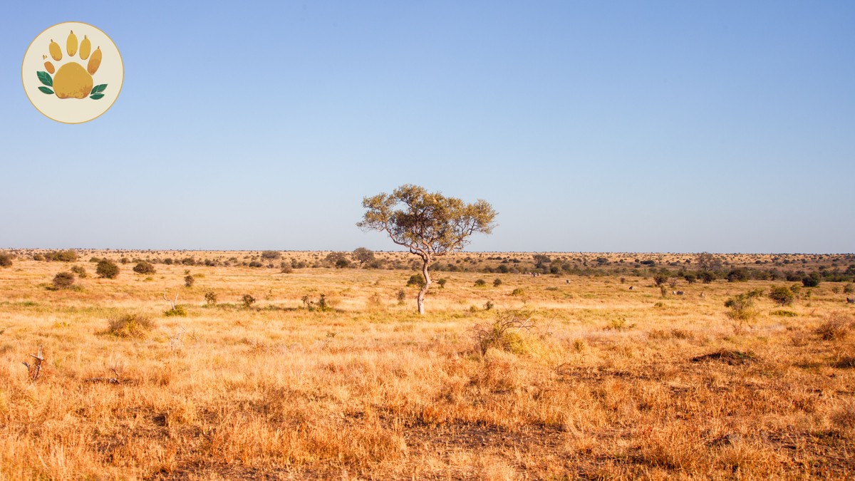 Hell's Gate National Park Cycling Guide (2026) - photo 1