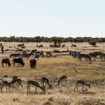 Hell's Gate National Park Cycling Safari Guide