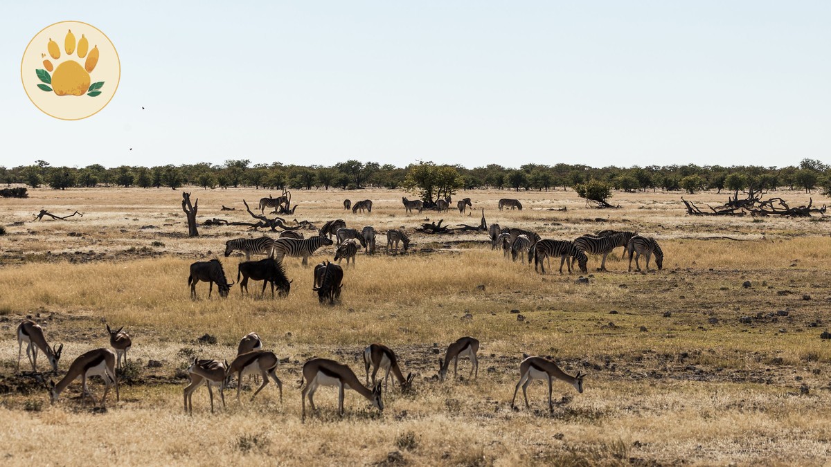 Hell's Gate National Park Cycling Safari Guide