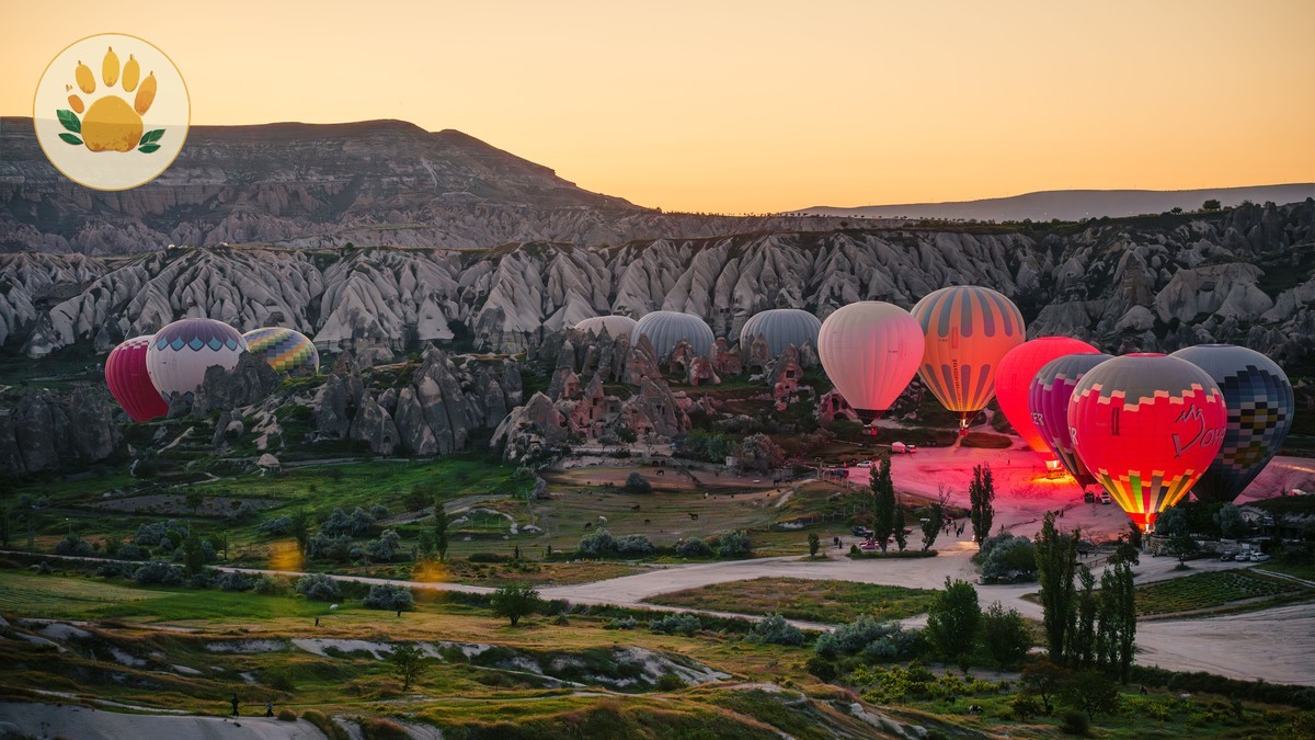 Hot Air Balloon Safari Proposal: Planning Guide