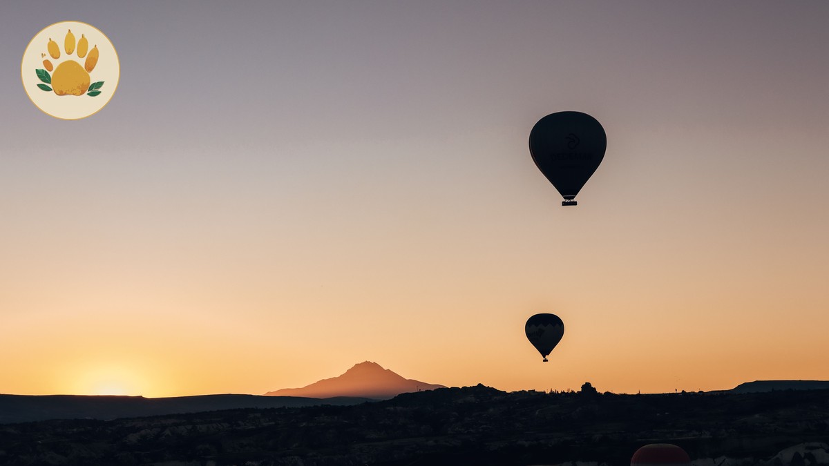 Hot Air Balloon Safari Proposal: Planning Guide - photo 1