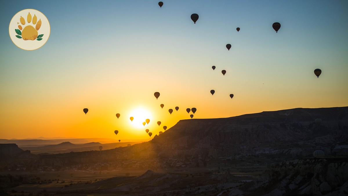 Hot Air Balloon Safari Proposal: Planning Guide - photo 2