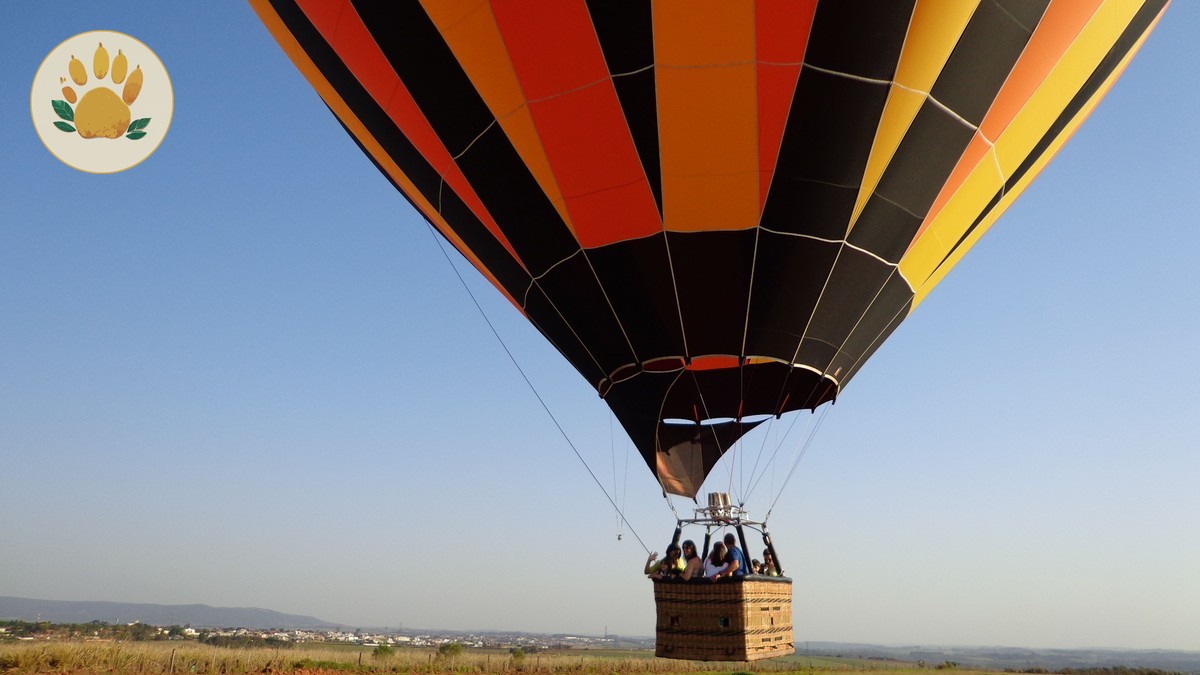 Is a Hot Air Balloon Safari Worth It? Honest Cost Guide