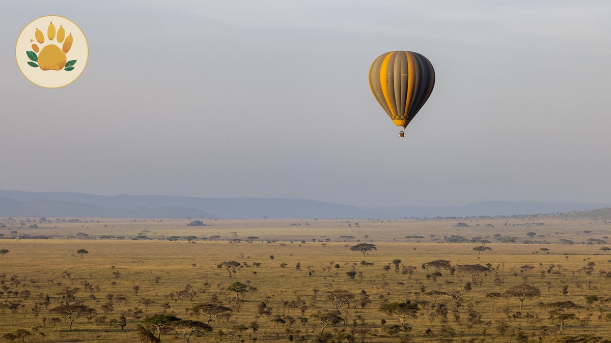 Is a Hot Air Balloon Safari Worth It? Honest Cost Guide - photo 1