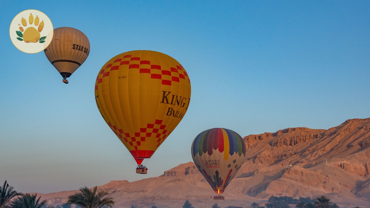 Is a Hot Air Balloon Safari Worth It? Honest Cost Guide - photo 2