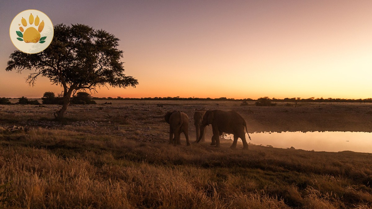 How Many Parks Should You Visit on One Kenya Trip? - photo 1