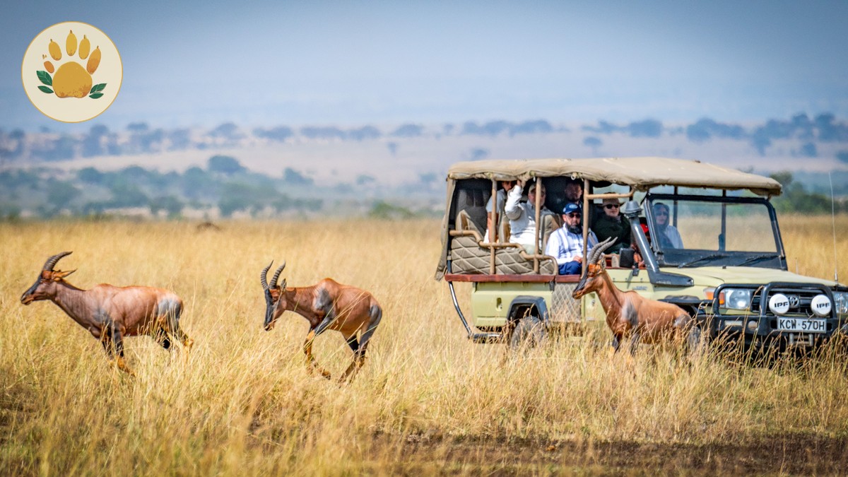 How to Choose a Kenya Safari Operator You Can Trust - photo 2