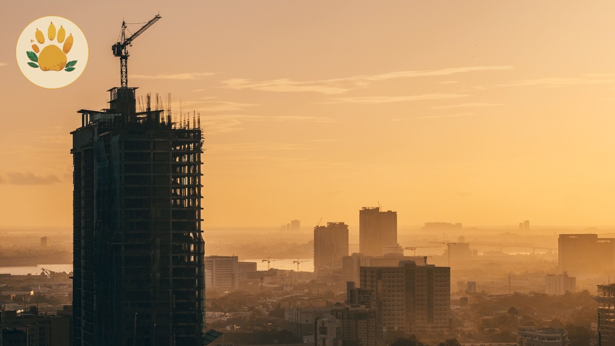 Kenya eVisa Processing Time Delays: What to Do