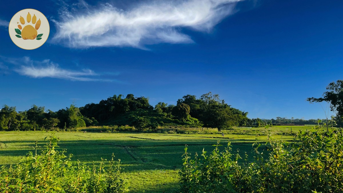 Kenya Safari Green Season Deals: April-May Guide - photo 1