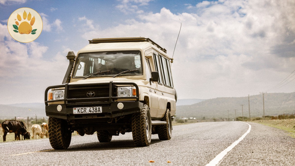 Kenya Safari Travel Insurance Guide: Coverage You Need - photo 2