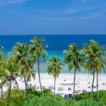Kenya Safari Zanzibar Beach Combo: A Full Planning Guide