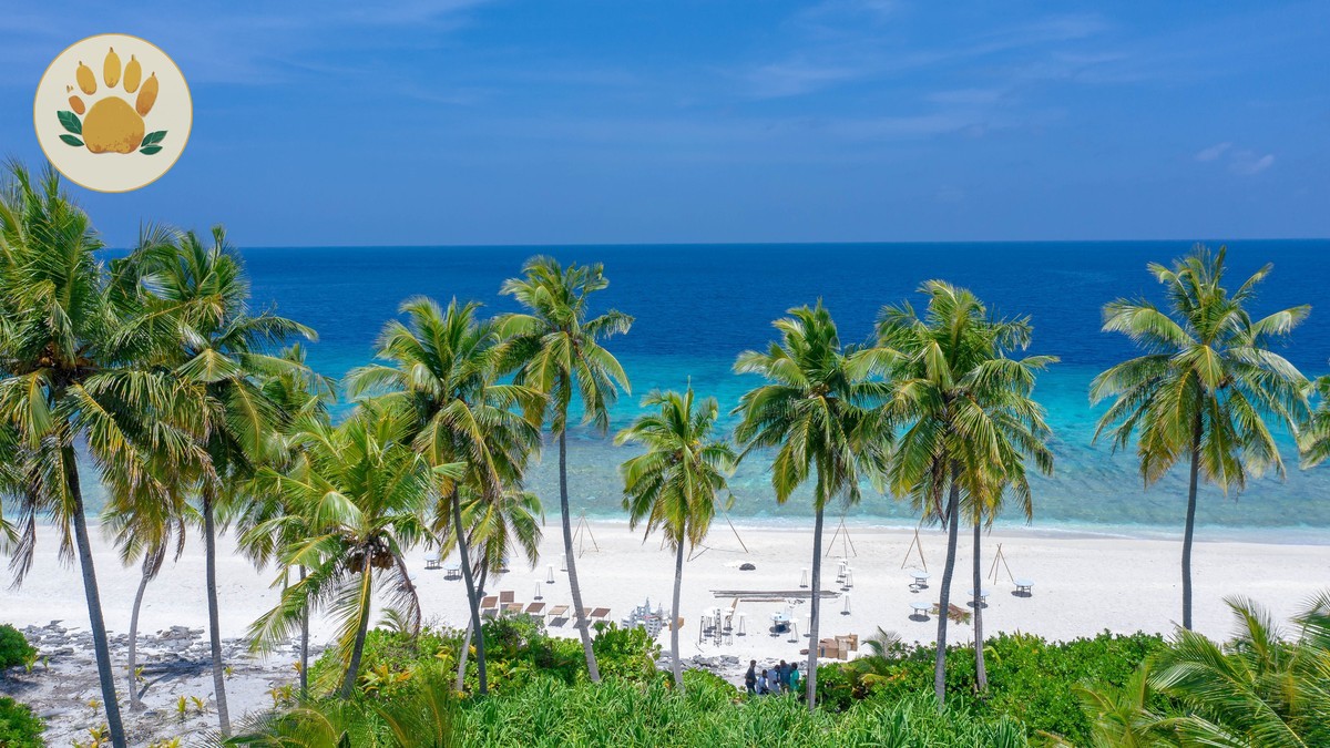 Kenya Safari Zanzibar Beach Combo: A Full Planning Guide