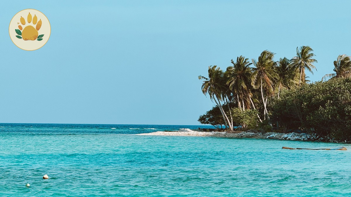 Kenya Safari Zanzibar Beach Combo: A Full Planning Guide - photo 2