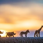 KWS Park Fee Categories 2026, Explained