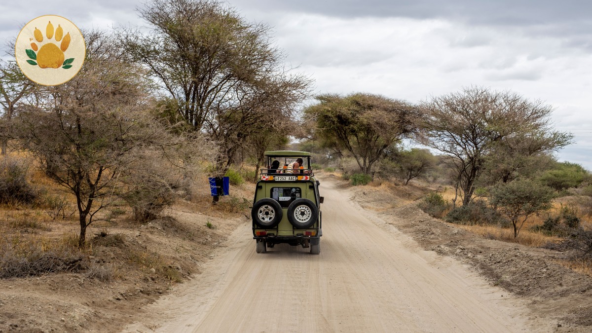 KWS Park Fee Categories 2026, Explained - photo 2