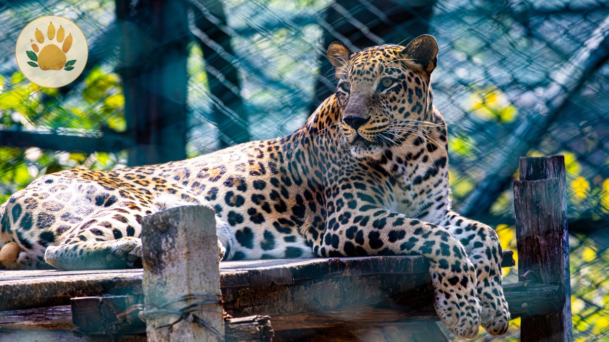 Laikipia Conservancy Safari Guide for Repeat Visitors - photo 2