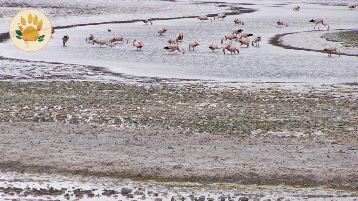 Lake Nakuru Rhino Sanctuary Guide: What to Know - photo 1