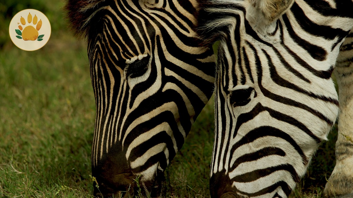 Lake Nakuru Rhino Sanctuary Guide: What to Know - photo 2
