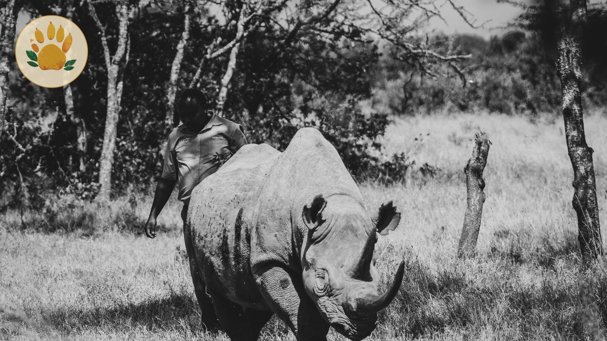 Mara Conservancy Fees vs National Reserve Explained (2026) - photo 2