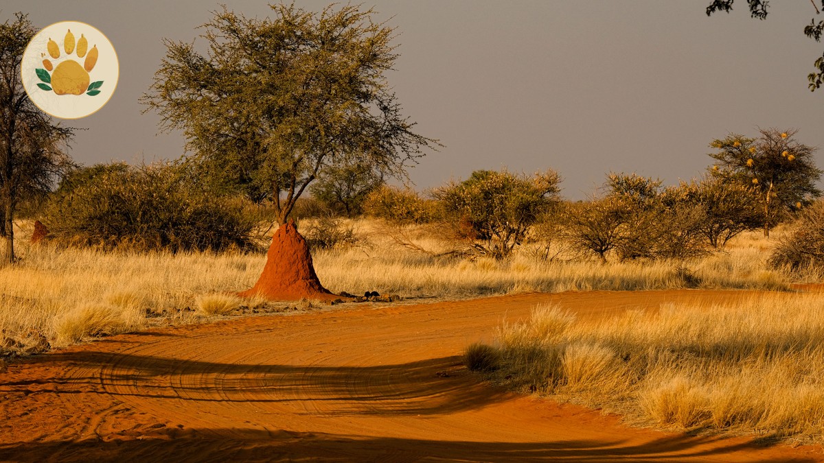 Mara River Crossing Points Explained - photo 1