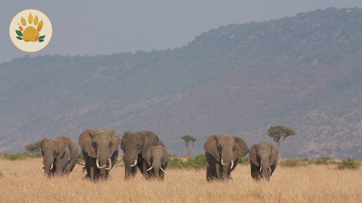 Nairobi to Ol Pejeta Distance, Route and Drive Time - photo 2