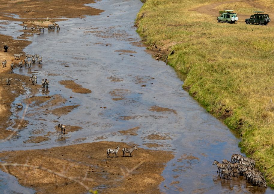 masai-mara sight