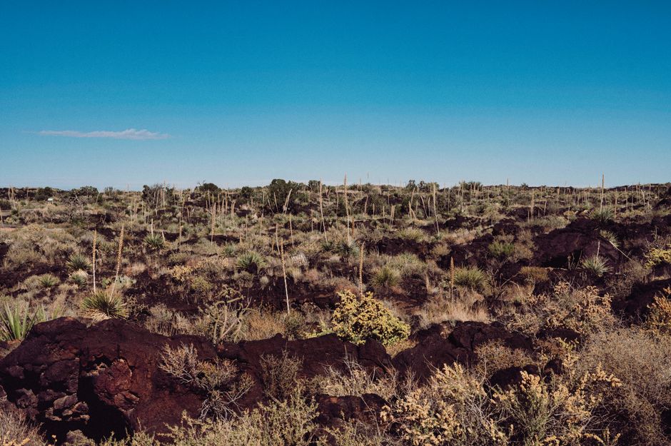 tsavo sight