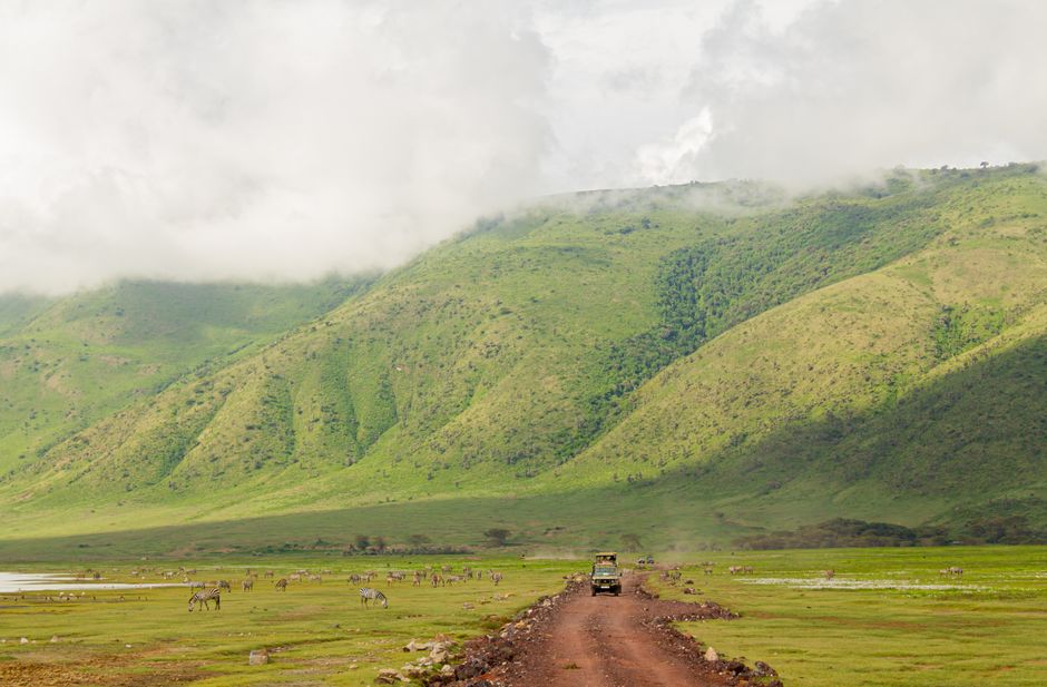 ngorongoro sight