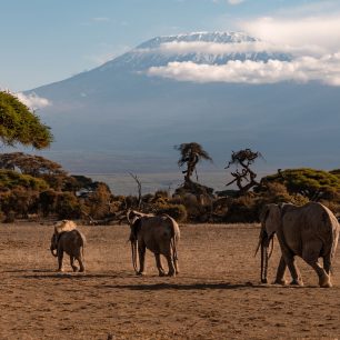 Amboseli