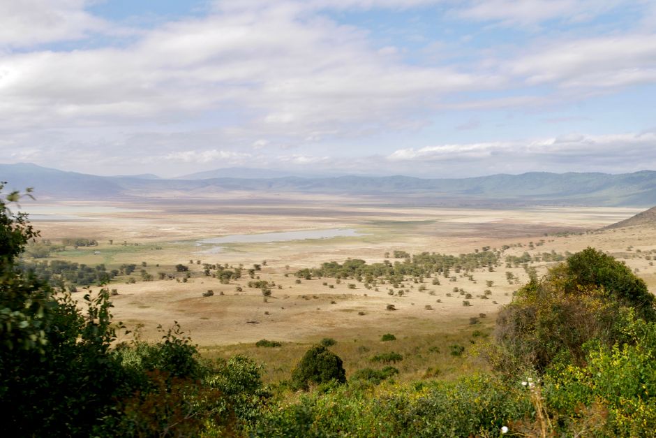 ngorongoro sight