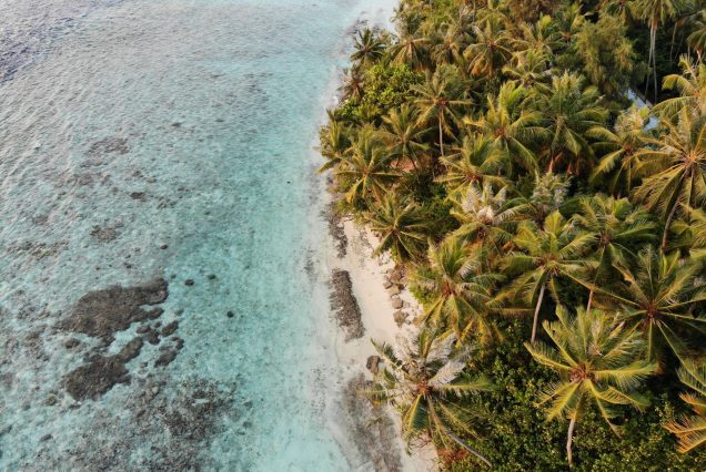 Bush and Beach: Mara to Diani