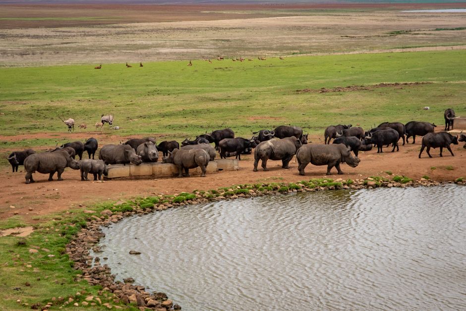 lake-nakuru sight