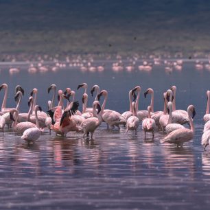 Lake Nakuru