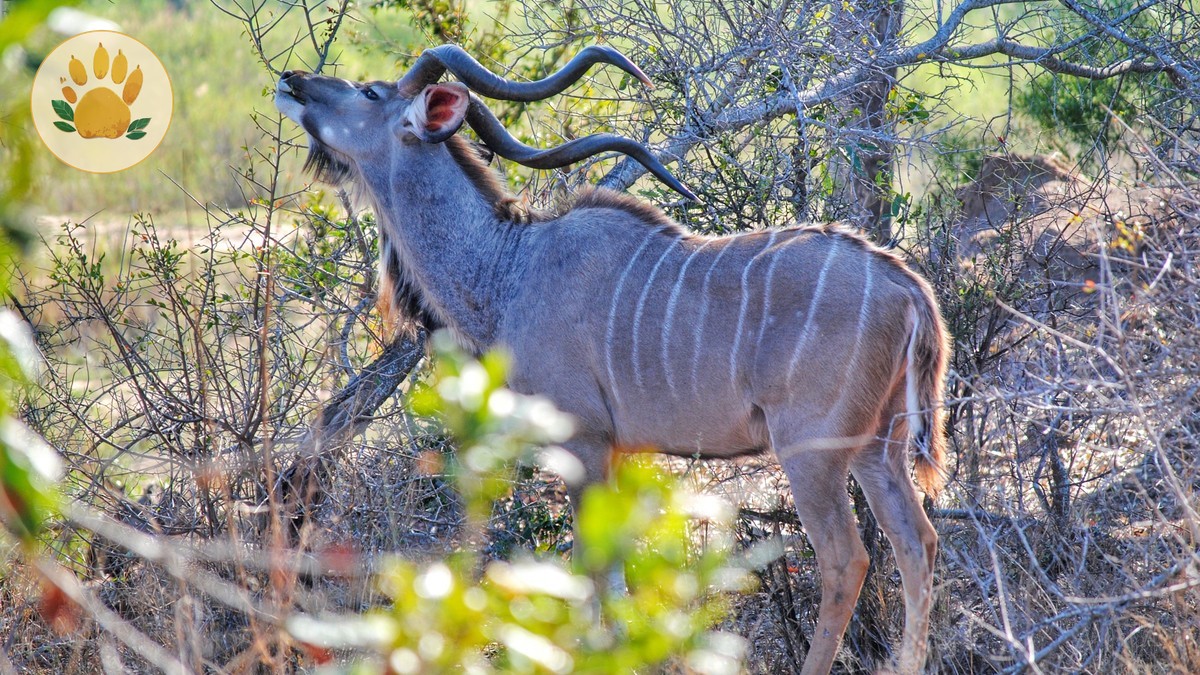Kenya Plastic Bag Ban: What Not to Pack or Bring